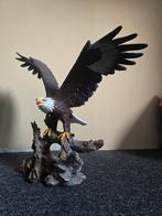 Zeldzaam groot realistisch adelaar beeld, Ophalen of Verzenden, Zo goed als nieuw, Dier