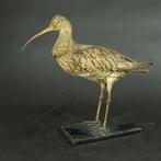 Opgezette wulp, Ophalen, Gebruikt, Vogel, Opgezet dier