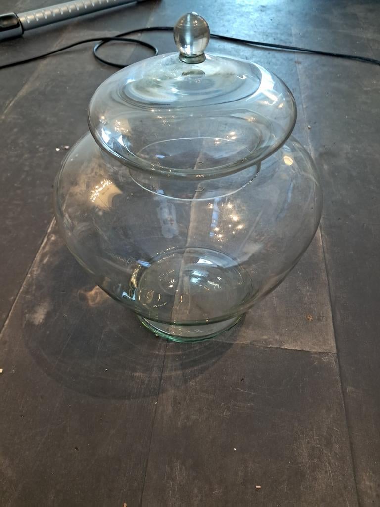 Grote glazen pot met deksel, Huis en Inrichting, Woonaccessoires | Vazen, Ophalen, Overige kleuren, 50 tot 75 cm, Glas