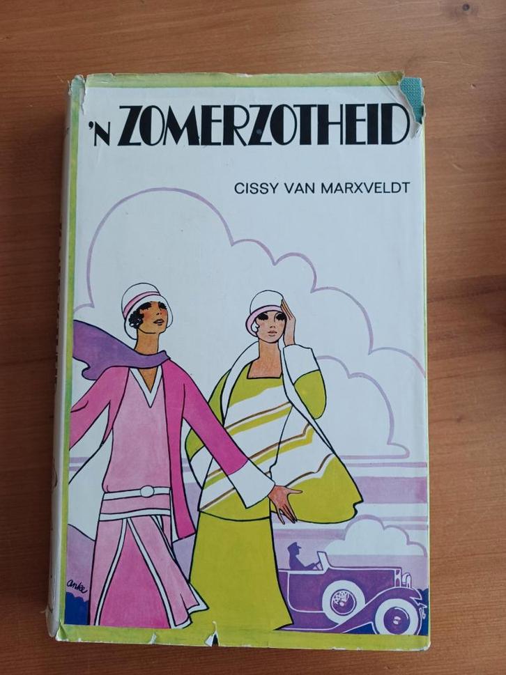 'n Zomerzotheid, Boeken, Kinderboeken | Jeugd | 13 jaar en ouder, Gelezen, Fictie, Ophalen of Verzenden