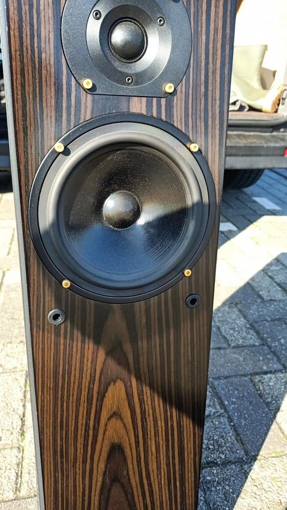 Ruark Acoustics Templar vloerstaande speakers - Gebruikt, Ophalen