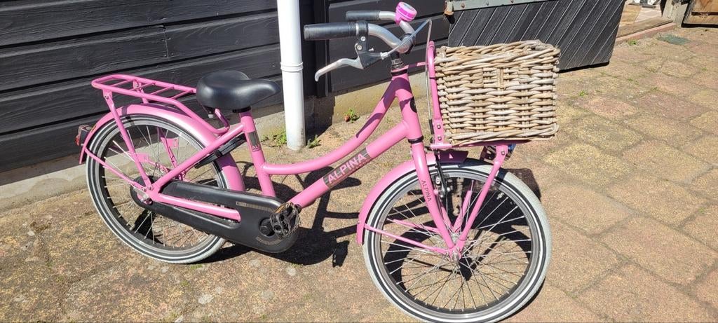 Alpina cargo meisjesfiets 20 inch, Ophalen, Zo goed als nieuw, 20 inch