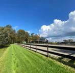 Stalhulp / bijrijder aangeboden (ervaring, regio Heiloo), Weidegang, 2 of 3 paarden of pony's