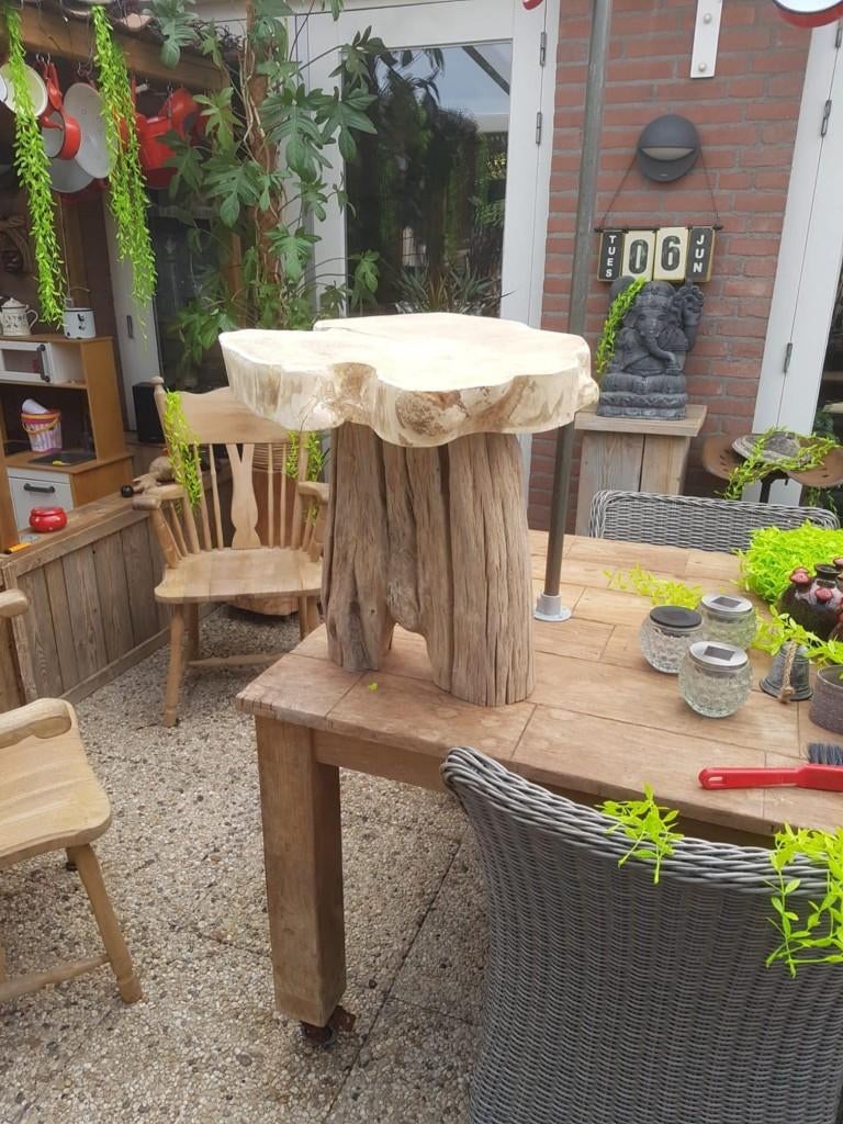 Krukje, sidetable, Ophalen, Bosachtig, Minder dan 50 cm, Overige vormen