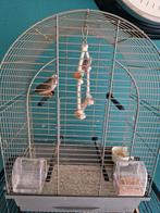 2 zebravinken poppen met of zonder kooi, Ophalen, Gebruikt, Metaal, Vogelkooi