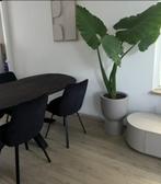 4 zwarte velvet eetkamerstoelen by Boo, Gebruikt, Zwart, Ophalen of Verzenden, Vier