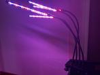 Groeilamp, kweeklamp 4 koppen,, Tuin en Terras, Kweekspullen, Ophalen of Verzenden, Zo goed als nieuw