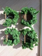 Wildzang nesten 4 stuks, Dieren en Toebehoren, Ophalen of Verzenden, Zo goed als nieuw, Kooi-accessoires