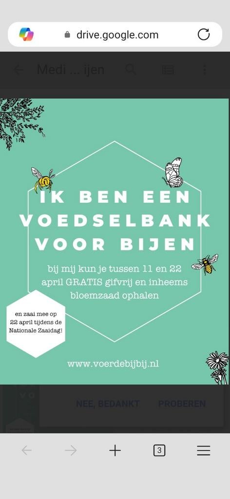 Gratis ophalen: biologische zaadjes voor insecten, Tuin en Terras, Bloembollen en Zaden, Ophalen, Voorjaar, Volle zon, Zaad