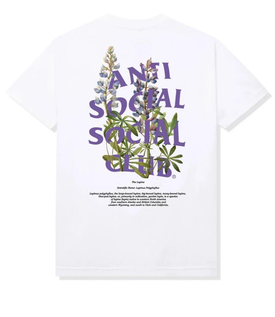 DS Anti Social Social Club Lupine T-Shirt S, Ophalen of Verzenden, Nieuw, Maat 46 (S) of kleiner, Wit