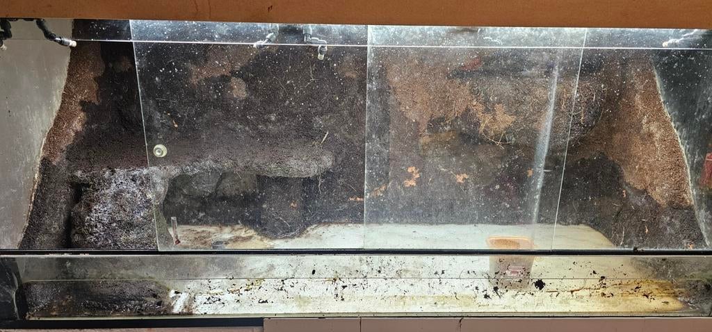 Paludarium terrarium 150x60x60, 0 tot 2 jaar