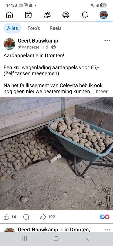 Aardappels, 2 bigshoppers €5,-, Diversen, Levensmiddelen, Ophalen