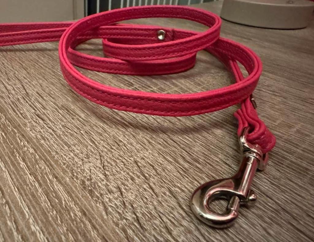 Hunter halsband met riem XS, Ophalen of Verzenden, Nieuw