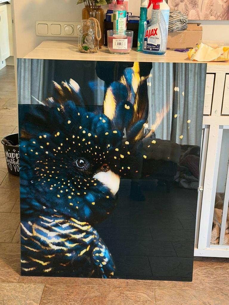 Mooie plexiglas grote foto, Ophalen, 50 tot 75 cm, Zo goed als nieuw, 75 tot 100 cm