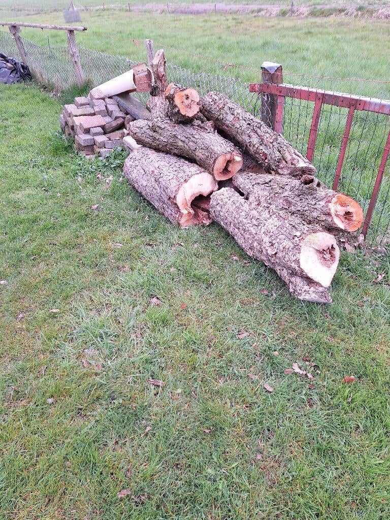 openhaard hout, Tuin en Terras, Haardhout, Minder dan 3 m³, Ophalen, Overige houtsoorten, Stammen