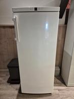 Liebherr staande vriezer, 160 cm of meer, Zo goed als nieuw, Ophalen, Vrieskast