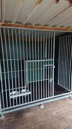 Hondenkennel, Dieren en Toebehoren, Hondenhokken, Ophalen, Hondenkennel, 100 cm of meer, 110 cm of meer