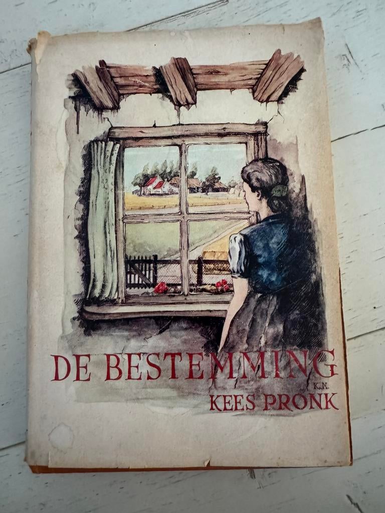 Kees Pronk - de bestemming, Ophalen of Verzenden, Gelezen