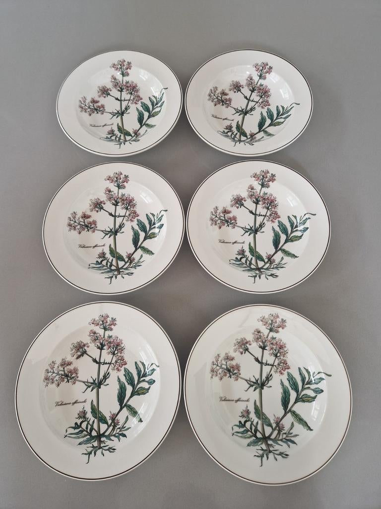 Diepe borden Villeroy en Boch Botanica, 12 beschikbaar Nieuw, Nieuw, Ophalen of Verzenden, Bord(en), Overige stijlen