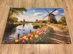 Tuinposter Hollandse Molens | Tulpen 90 x 60cm, Tuin en Terras, Ophalen of Verzenden, Nieuw