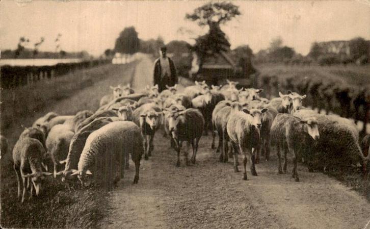 Dubbeldam bij Dordrecht, Verzamelen, Ansichtkaarten | Nederland, Gelopen, Zuid-Holland, Voor 1920, Ophalen of Verzenden