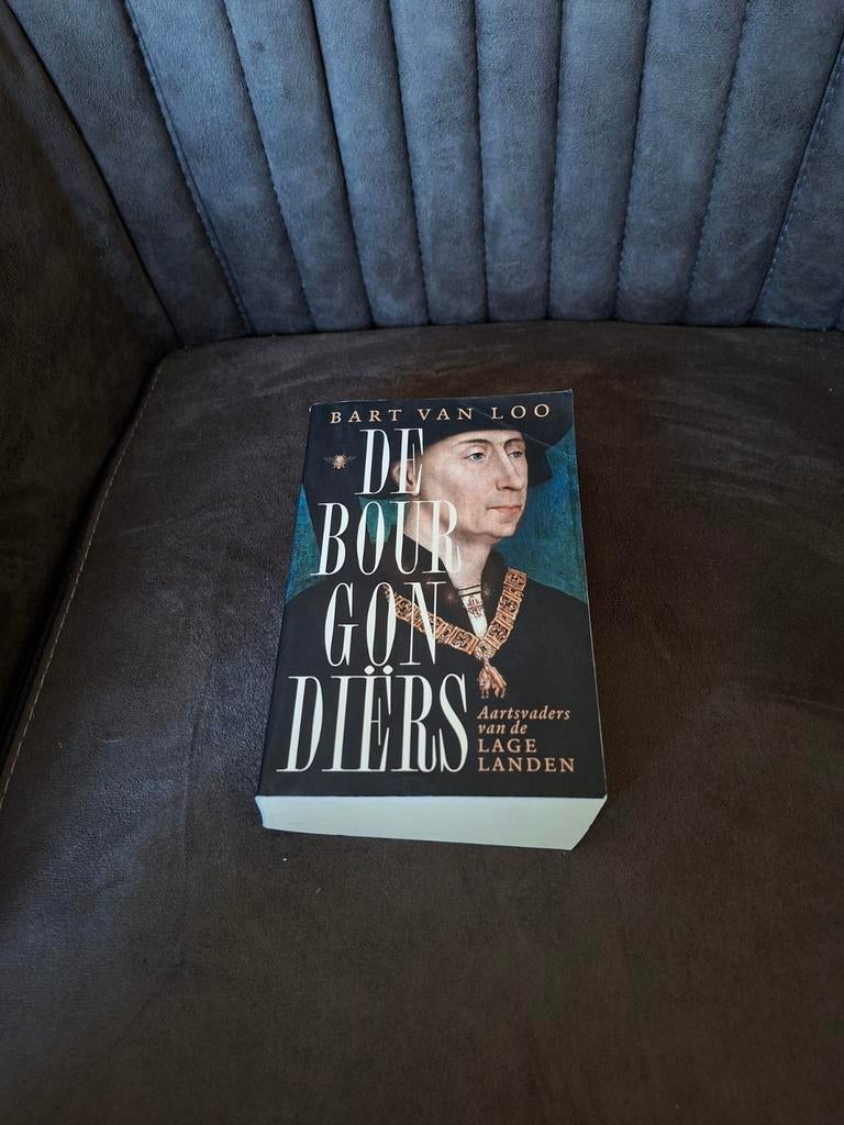 De Bourgondiërs - Bart Van Loo (Geschiedenisboek), Boeken, Gelezen, 15e en 16e eeuw, Europa, Ophalen of Verzenden