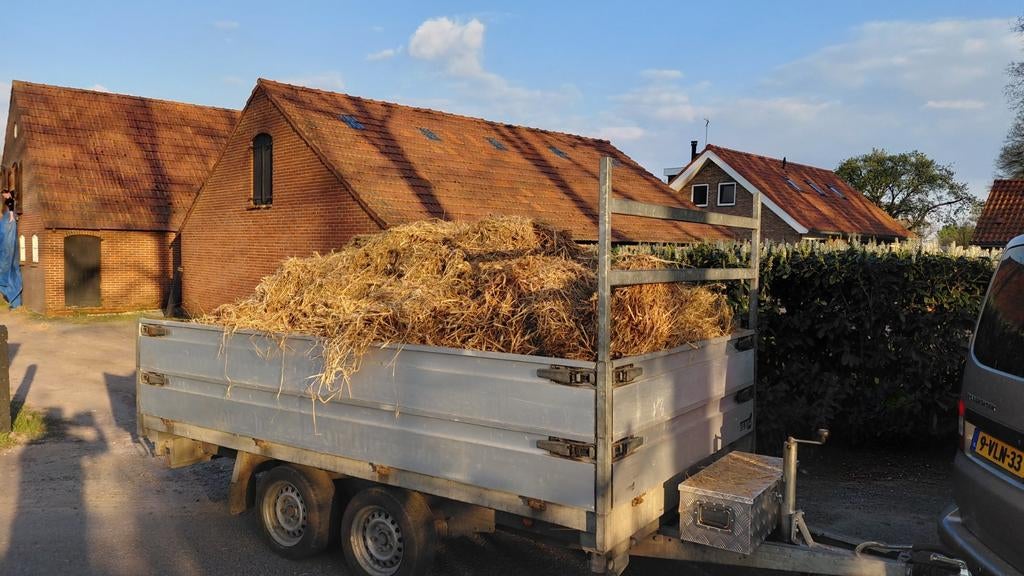 Stro gratis, Dieren en Toebehoren, Ophalen of Verzenden, Vee
