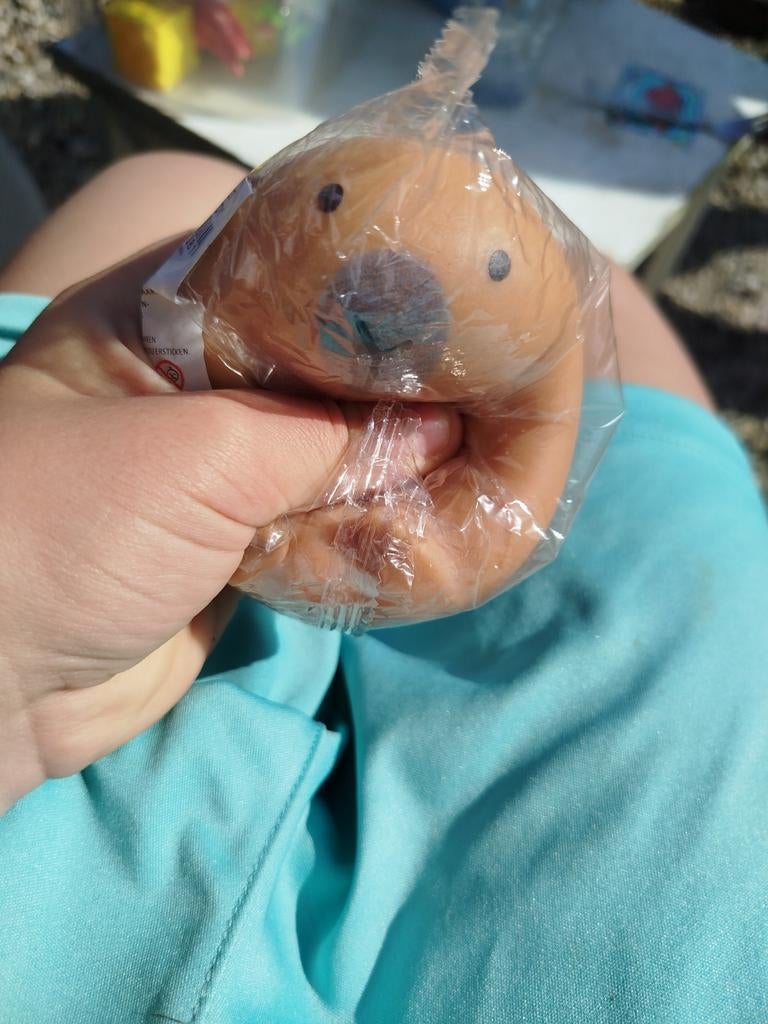 Capibara squishy, Ophalen of Verzenden, Nieuw, Jongen of Meisje