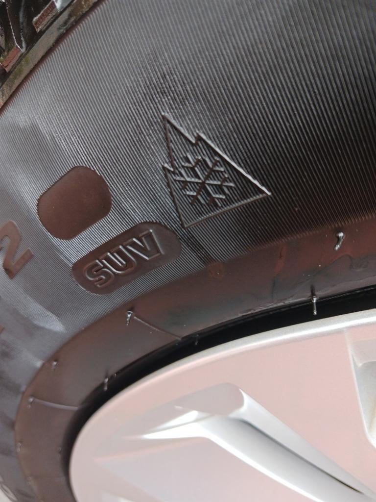 Originele wintervelgen met dop renault capture 2020 5 gats, Auto-onderdelen, Banden en Velgen, Ophalen of Verzenden, Winterbanden