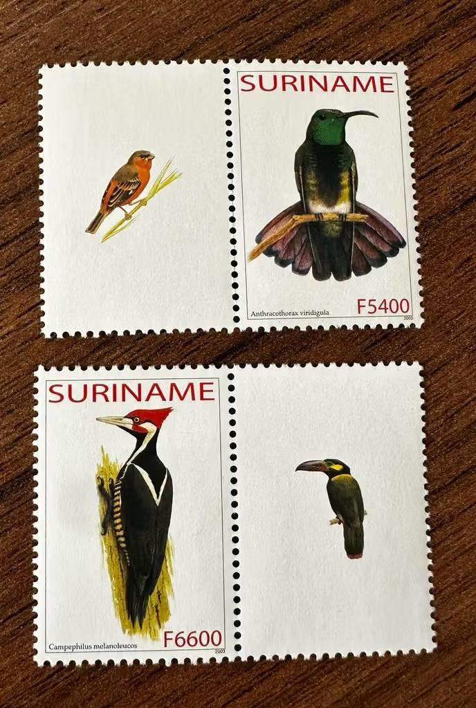 Suriname 2003 - Vogels specht postfris, Postzegels en Munten, Postzegels | Suriname, Ophalen of Verzenden, Postfris