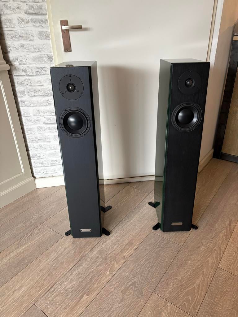 Morel Vloerstaande Luidsprekers - British Racing Green, Zo goed als nieuw, 120 watt of meer, Front, Rear of Stereo speakers, Ophalen