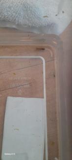 Kreeftjes verschillende maten, Dieren en Toebehoren, Vis