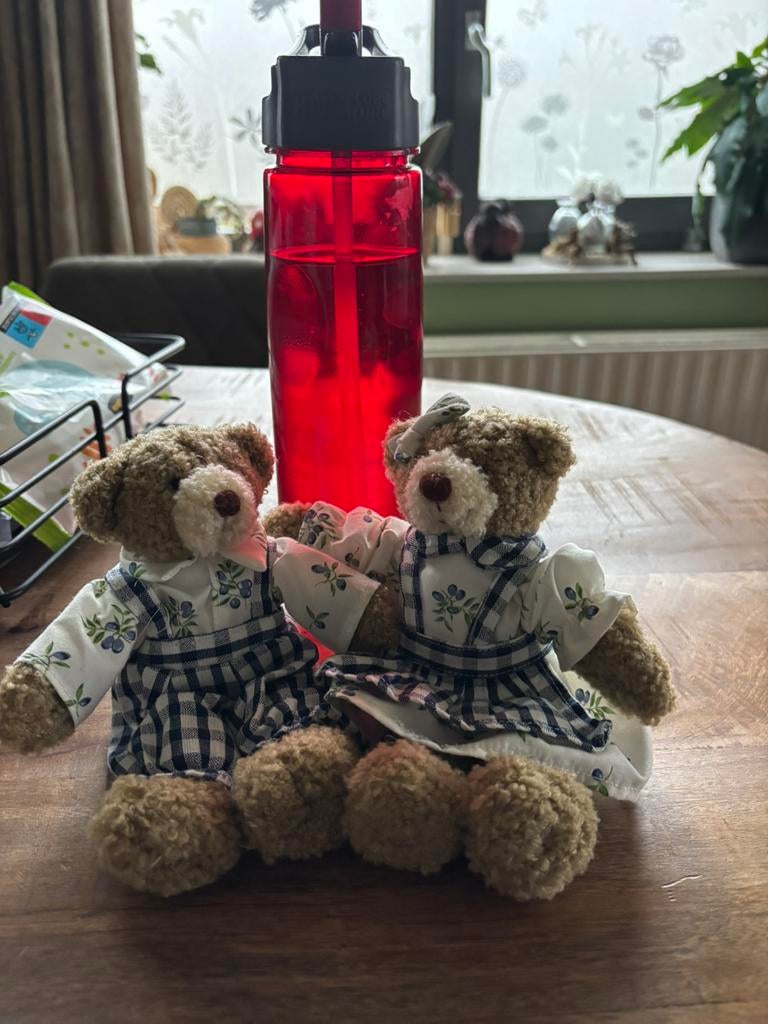 Van kleef beertjes, Verzamelen, Ophalen, Zo goed als nieuw, Stoffen beer, Overige merken