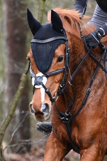 Covalliero Mexicaans zwart hoofdstel maat cob, Dieren en Toebehoren, Paarden en Pony's | Hoofdstellen en Tuigage, Ophalen of Verzenden