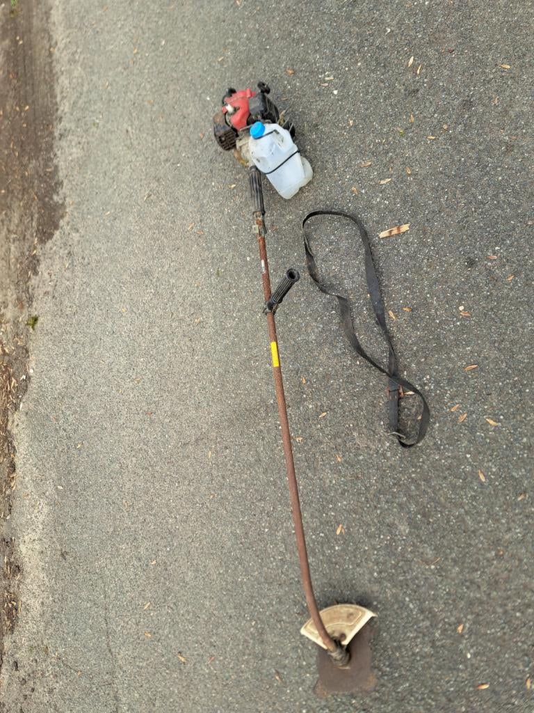 Bosmaaier Robin, Ophalen