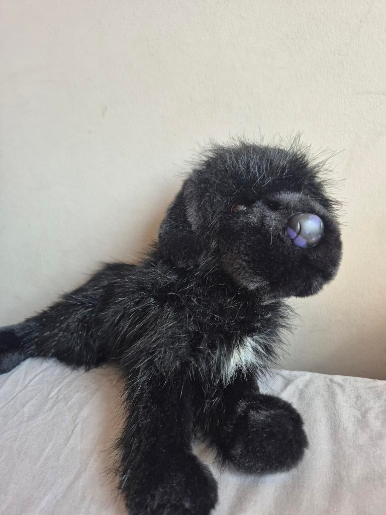 Douglas hond, Overige merken, Overige karakters, Nieuw, Zwart