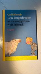 C. Biessels - Twee druppels water, Fictie algemeen, C. Biessels, Ophalen of Verzenden, Zo goed als nieuw