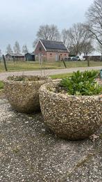 Grote bloembakken, Ophalen, Gebruikt, Rond