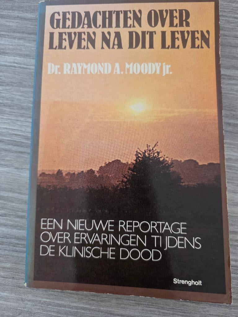 Gedachten over leven na dit leven., Boeken, Verzenden, Gelezen