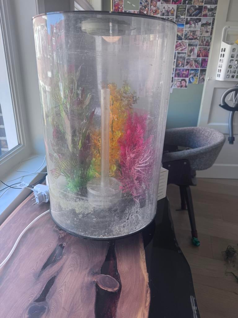 Aquarium rond met vervangbare filter, Ophalen, Zo goed als nieuw, Leeg aquarium