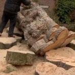 Grote boomstammen en blokken gratis in MIJDRECHT, Minder dan 3 m³, Ophalen