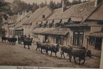 dld oude kaart bad harzburg molkenhaus vee runderen koeien, Ophalen of Verzenden, Voor 1920, Sterren en Beroemdheden
