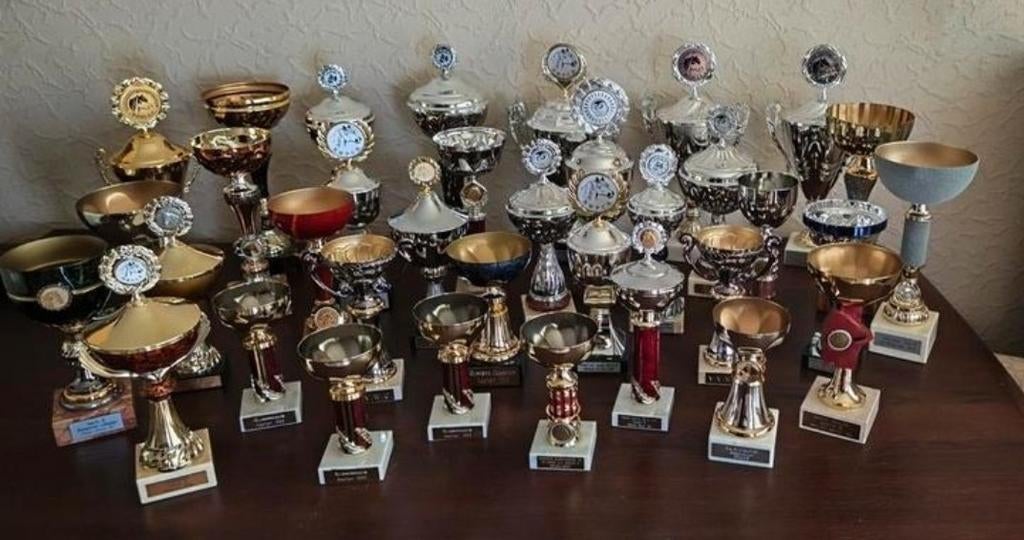 Grote Partij Paardensport prijzen 49 Stuks, Dieren en Toebehoren, Ophalen, Nieuw, Overige soorten