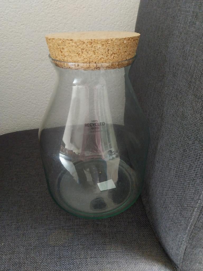 Glazen pot zat ecosysteem in., Ophalen