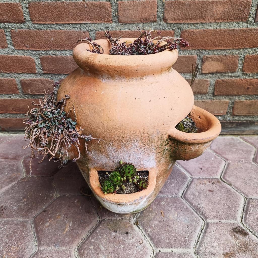 Aardbeienpot met vetplantjes €25,-, Tuin en Terras, Bloempotten, Ophalen, Rond, Aardewerk, Minder dan 40 cm