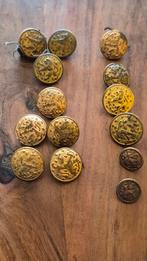 Pré40.    Lot 14stuks Messing.. "gouden" knopen met NL leeuw, Verzamelen, Ophalen of Verzenden, Landmacht, Nederland, Embleem of Badge