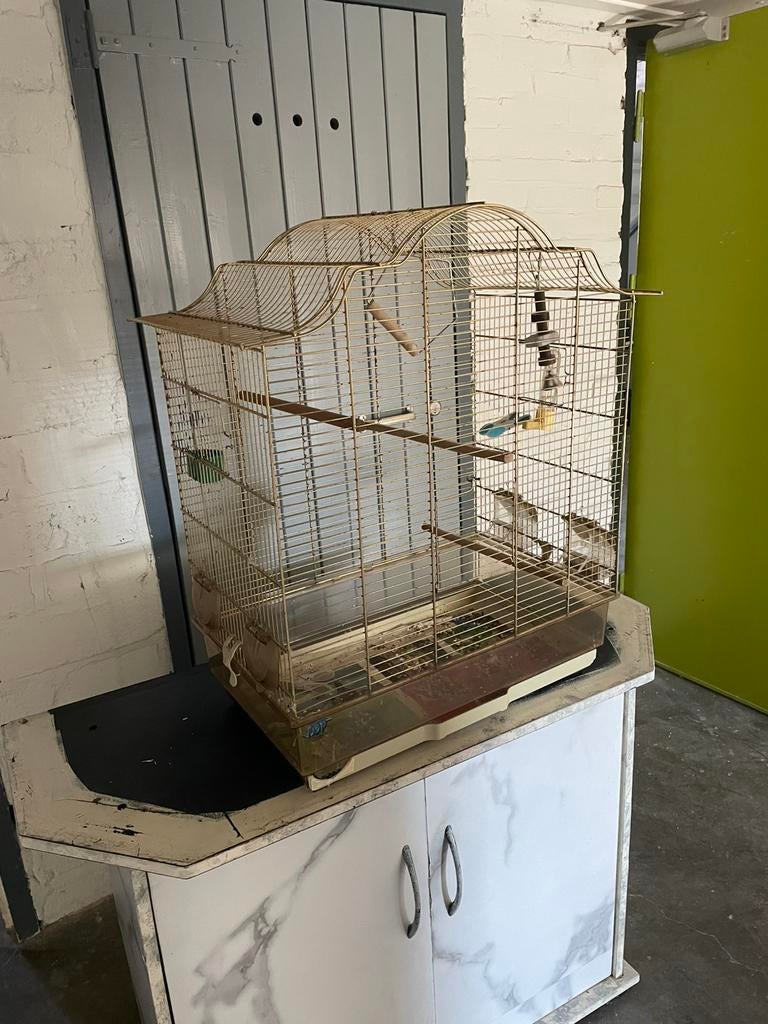 Vogels kooi 30€, Dieren en Toebehoren, Vogels | Hokken en Kooien, Ophalen of Verzenden, Zo goed als nieuw, Hout, Vogelkooi