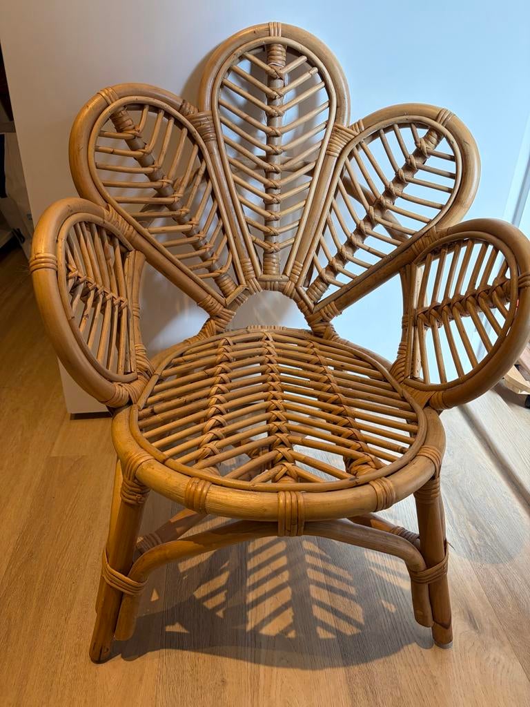 Rotan kinder vlinderstoel, Ophalen, Gebruikt, Overige typen