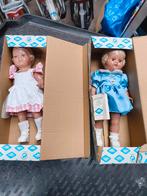 2 originele Schildkrot poppen schildpad poppen, Verzamelen, Ophalen of Verzenden, Nieuw, Pop