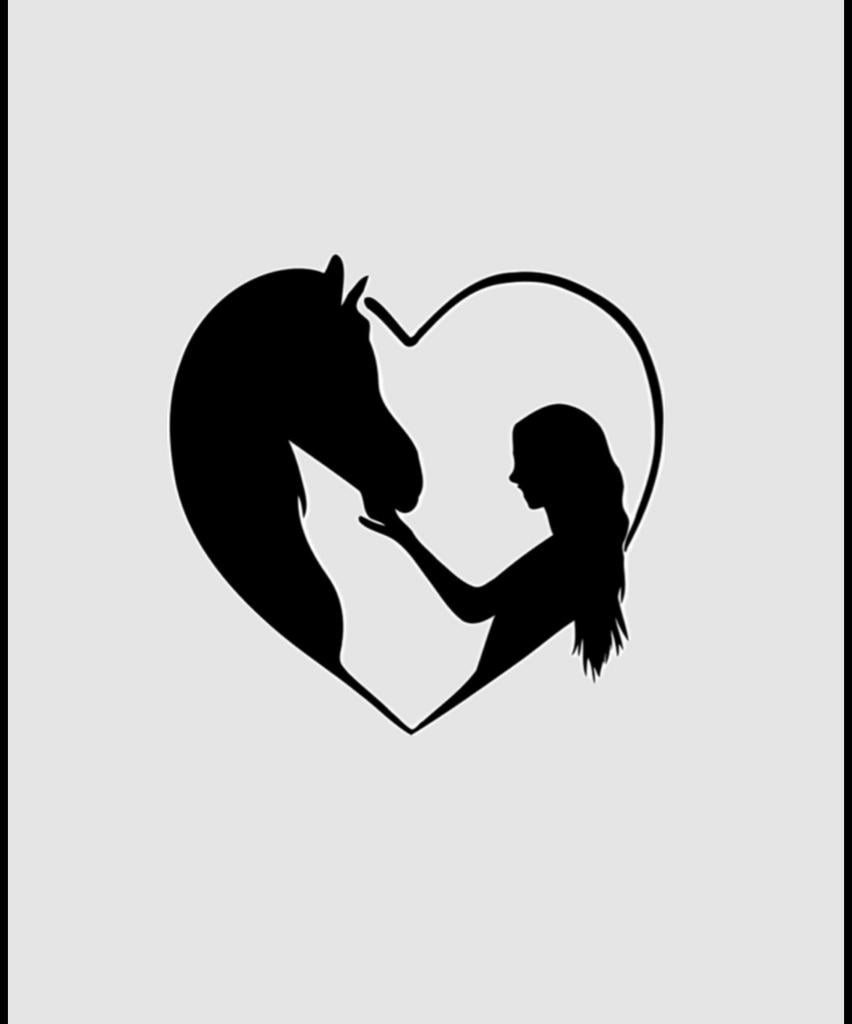 Stalling gezocht., Dieren en Toebehoren, Stalling